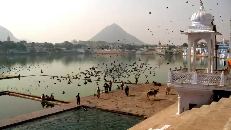 Photo of Half a day in Pushka