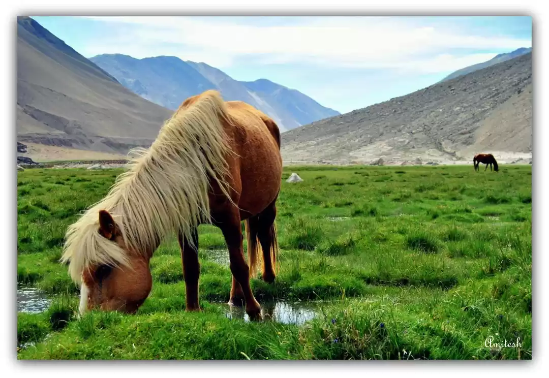 Photo of Ladakh – Heavenly de