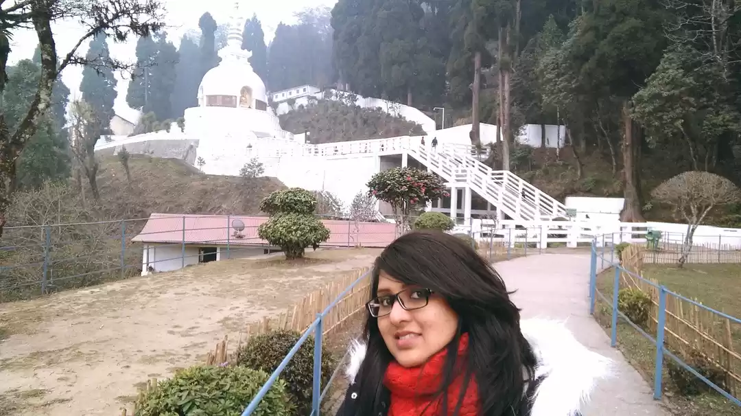 Photo of Darjeeling Diaries