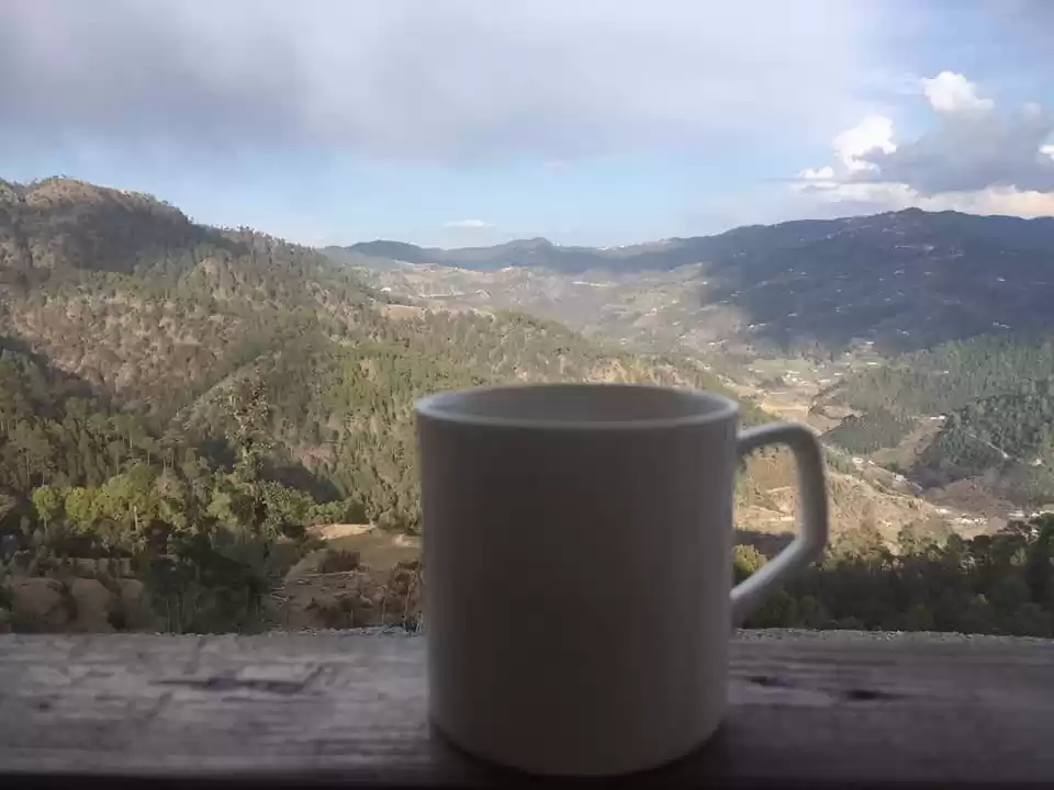 Photo of Nupur Kunal Vaid