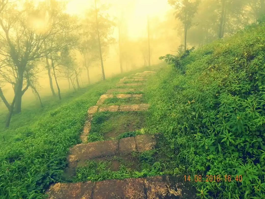 Photo of Head out to this Une