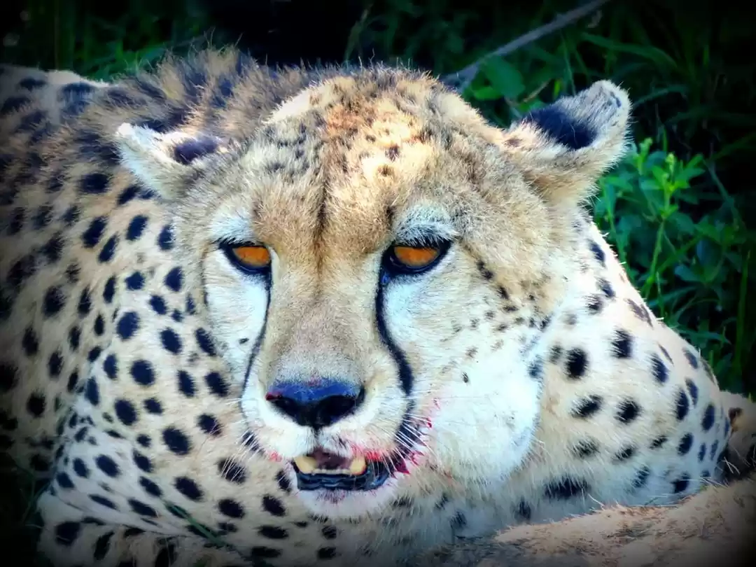 Photo of A must visit place f