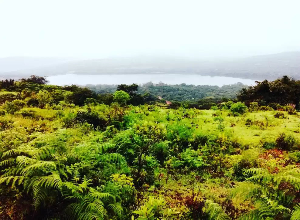 Photo of Kaas Plateau - Mahar