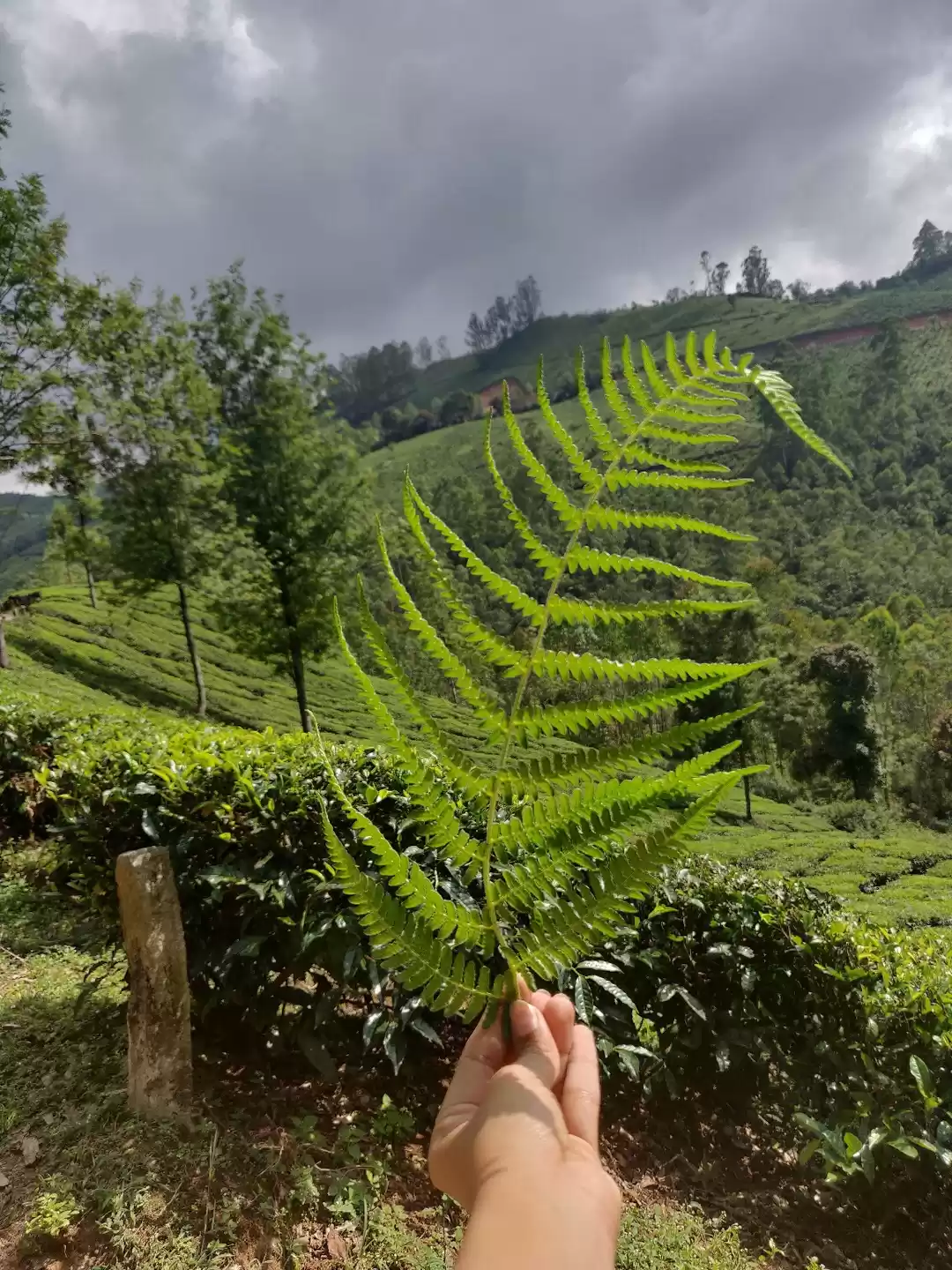 Photo of Cloud kissed hills! 
