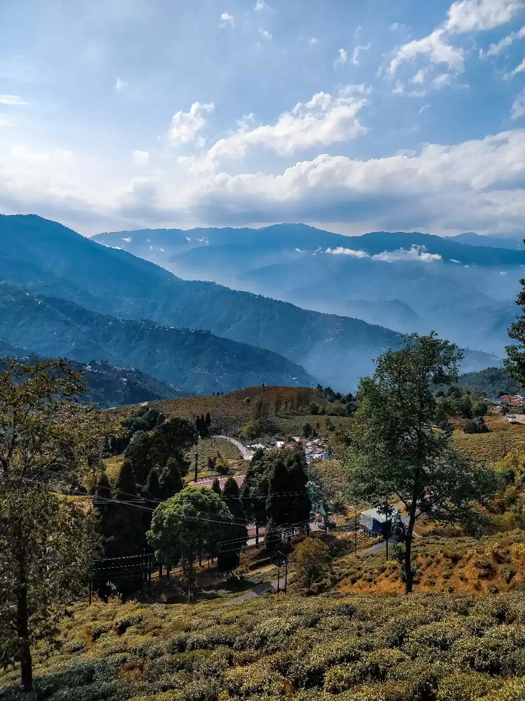 Photo of Happy Valley Tea Est