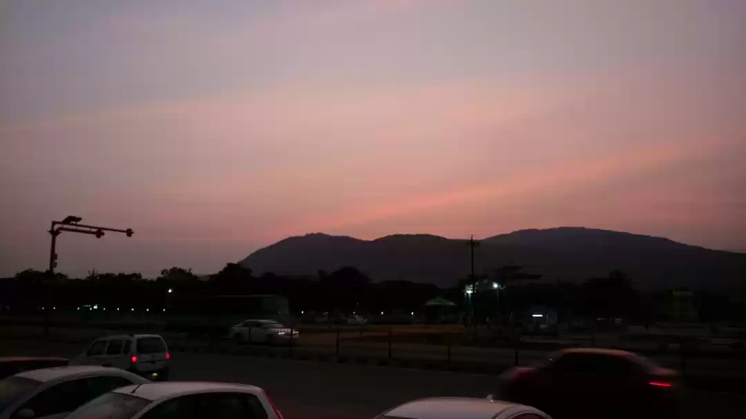 Photo of Mesmerizing Tea Gard