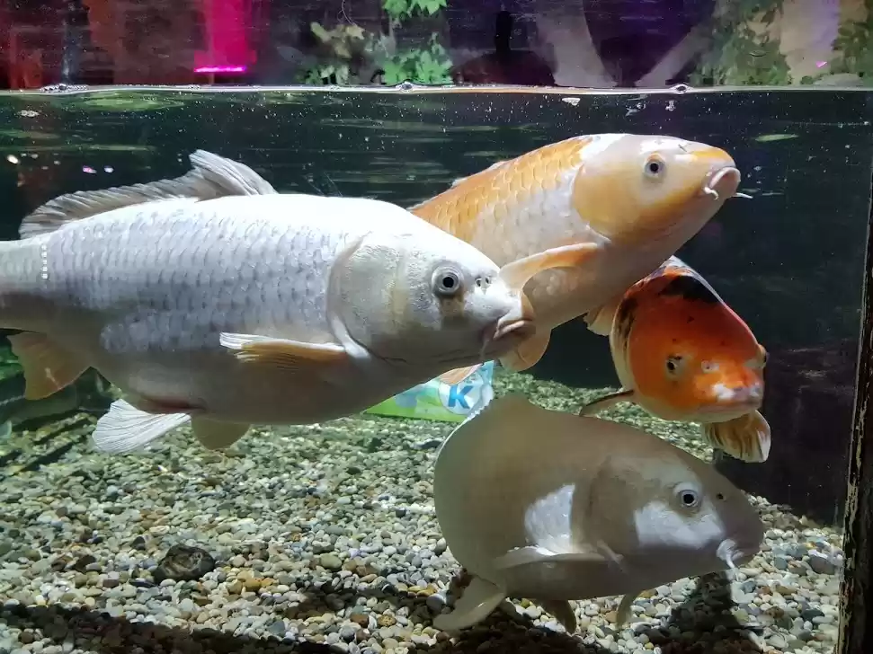 Photo of A weekend get away t