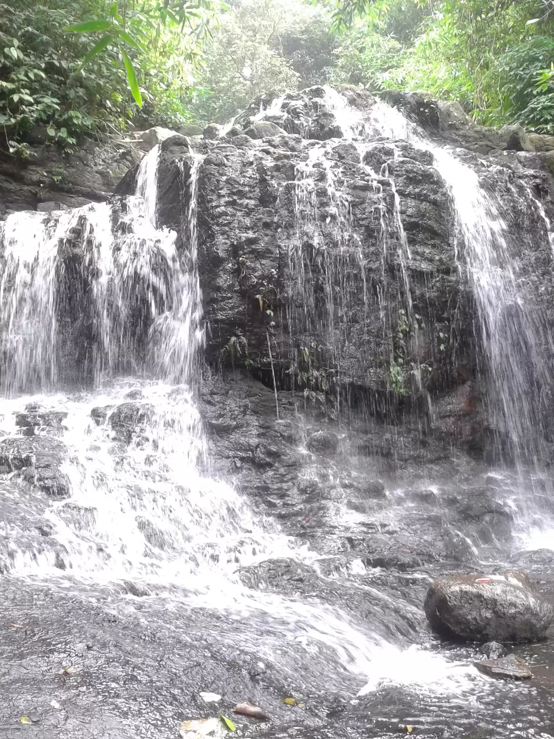 Photo of Kerala - God's Own C