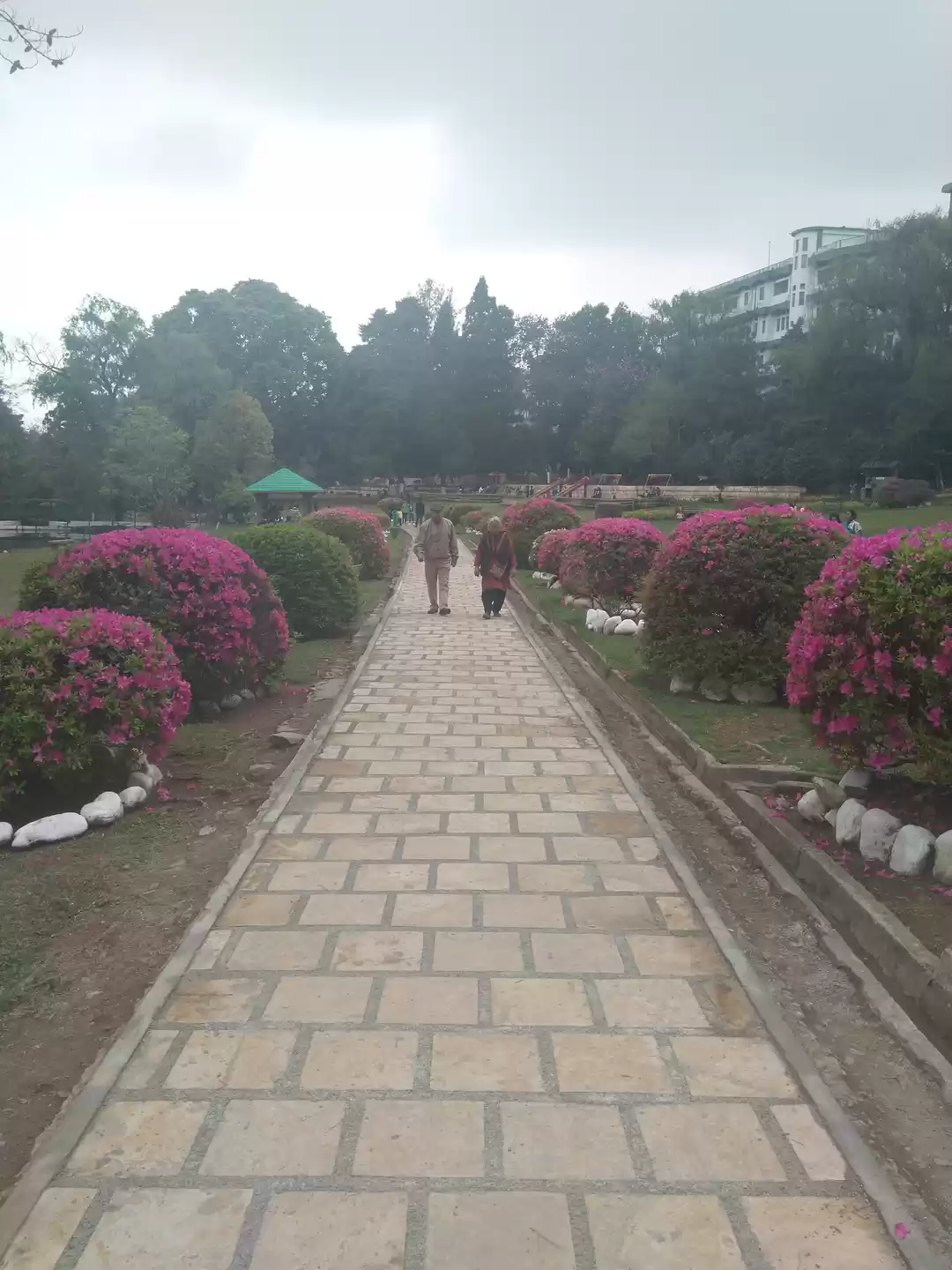 Photo of Around the North-Eas