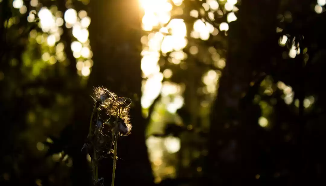 Photo of Just 4 hours from Be