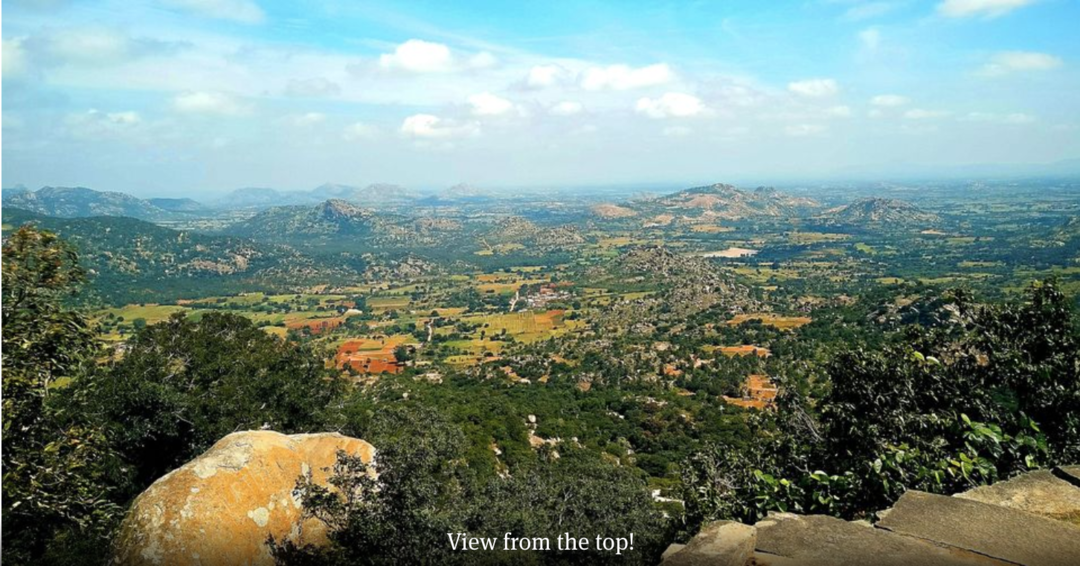 Photo of Short and easy trek 