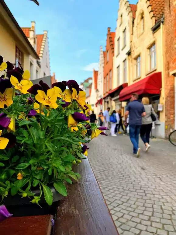 Photo of Bruges - The Enchant
