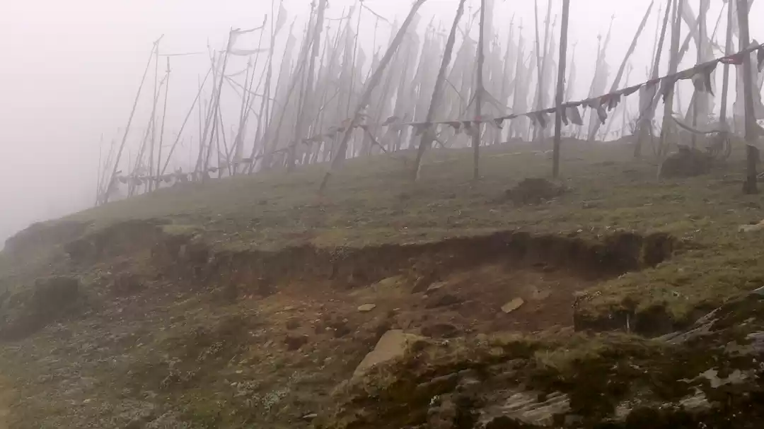 Photo of Paro, chele la pass