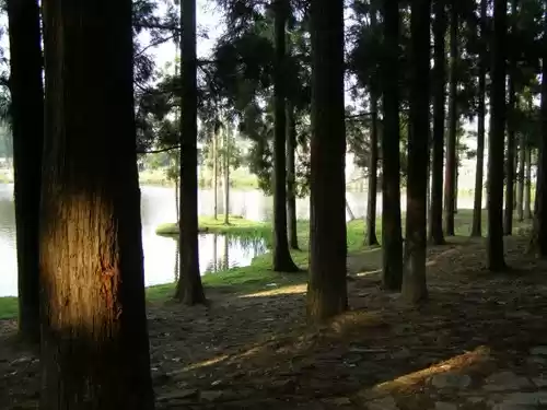 Photo of Mirik (underrated)