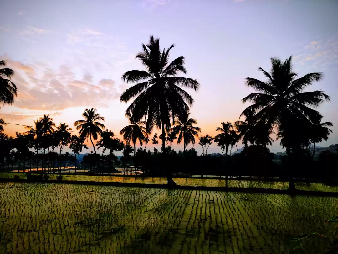 Photo of historical and hippi