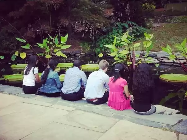 Photo of Duke Garden