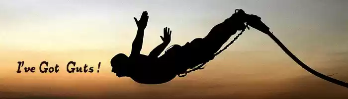 Photo of Rishikesh - India's