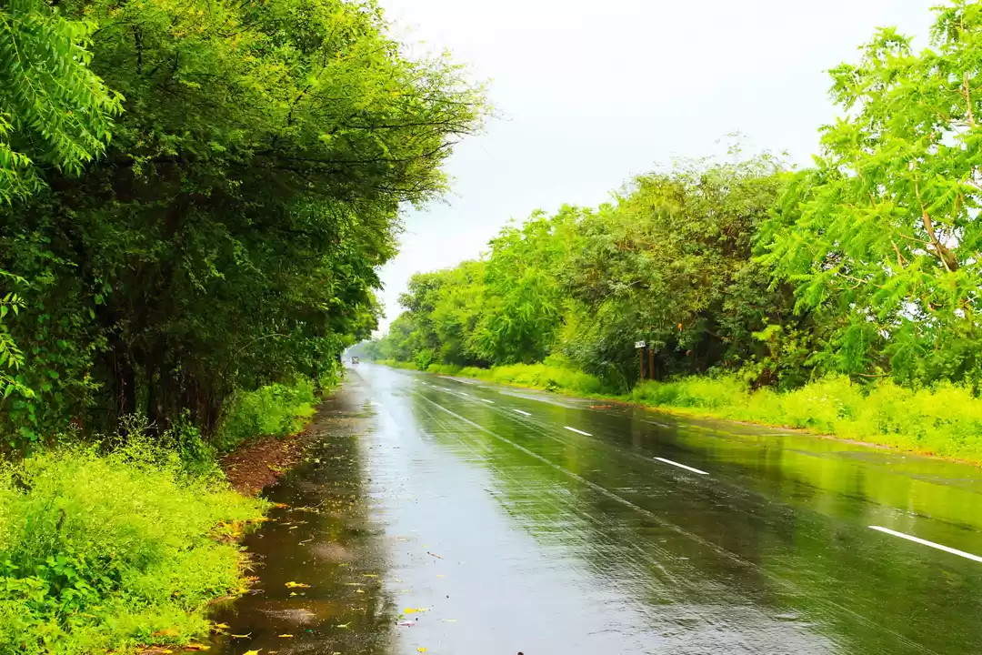 Photo of The Beauty of Sauras