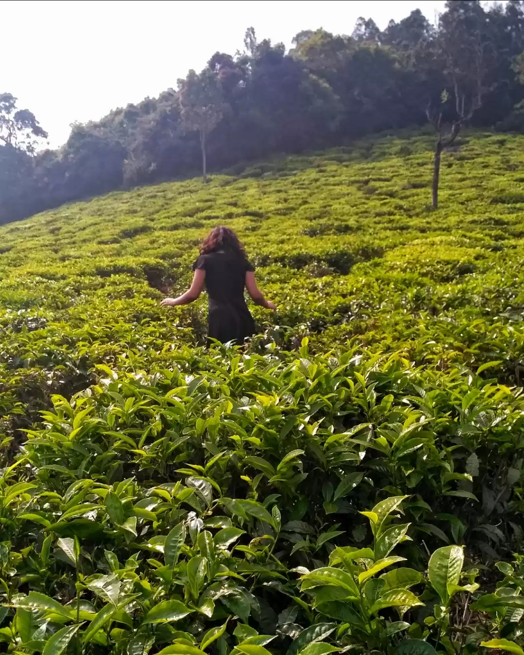 Photo of unwrapping the gift 