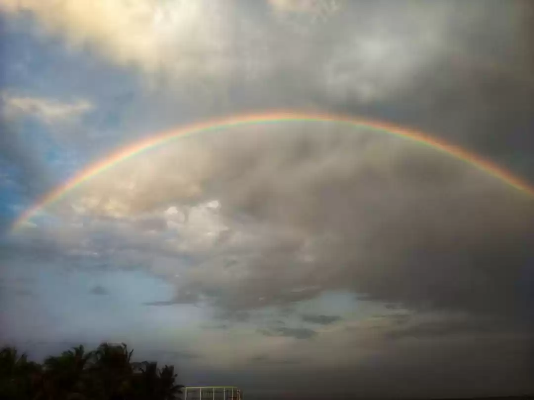 Photo of Solo in Auroville an