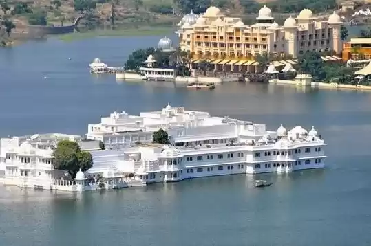 Photo of Royal Instincts