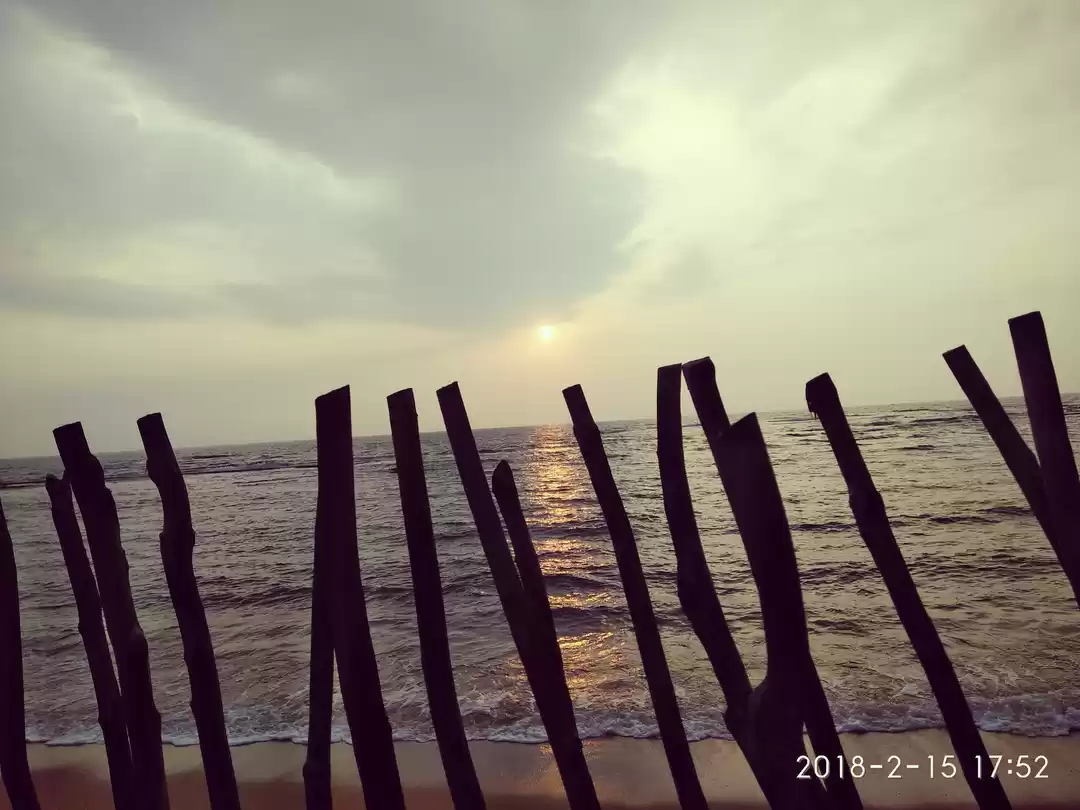 Photo of What’s your reason t