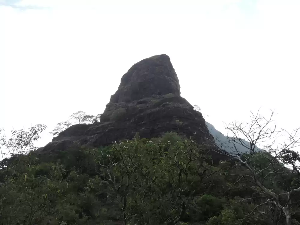 Photo of Climbing With a Purp