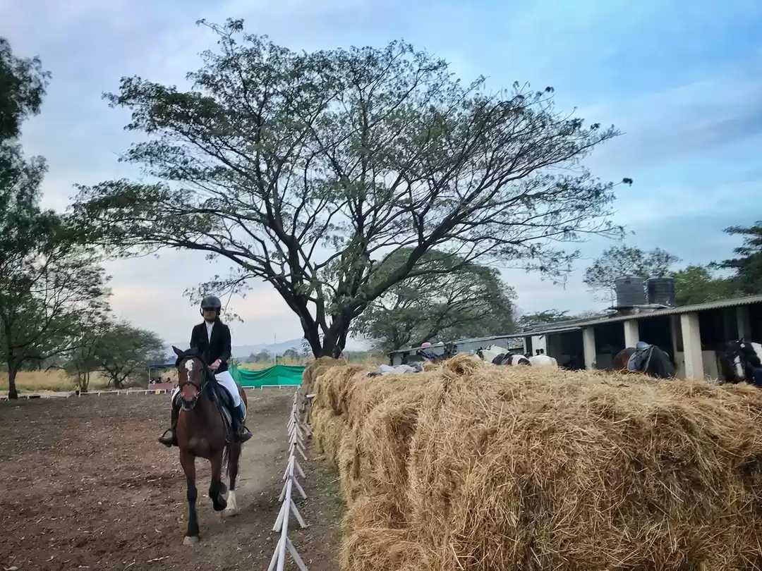 Photo of Learn To Love, Care