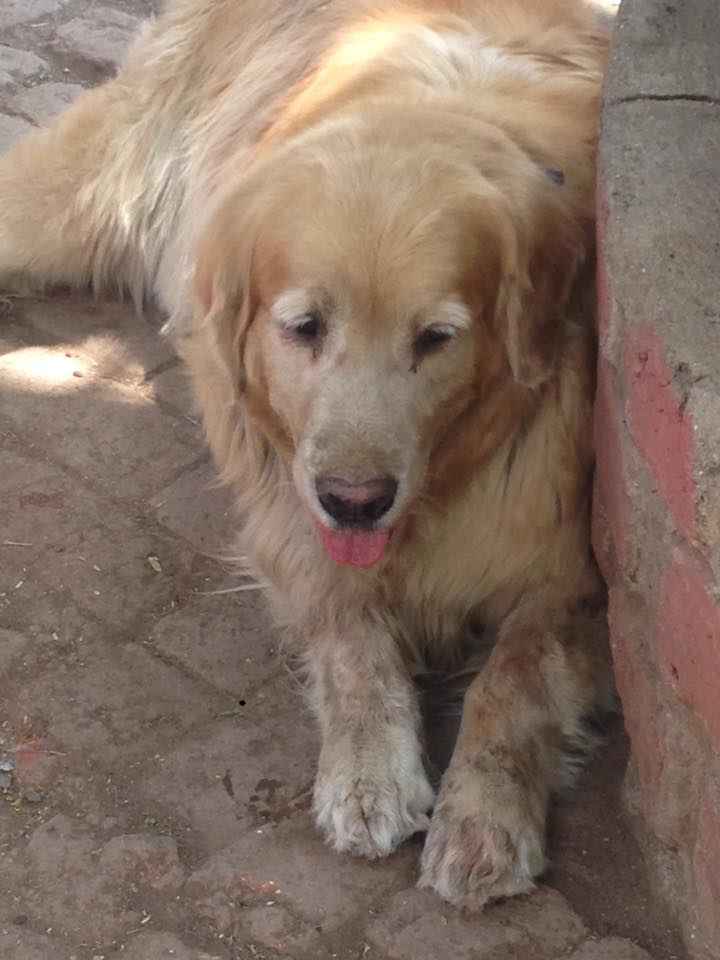 Learn To Love Care And Ride At This Equestrian Centre Just Two Hours Away From Mumbai Tripoto L'étoffe d'un champion au québec est un film dramatique français réalisé par christian duguay, sorti en 2013. hours away from mumbai