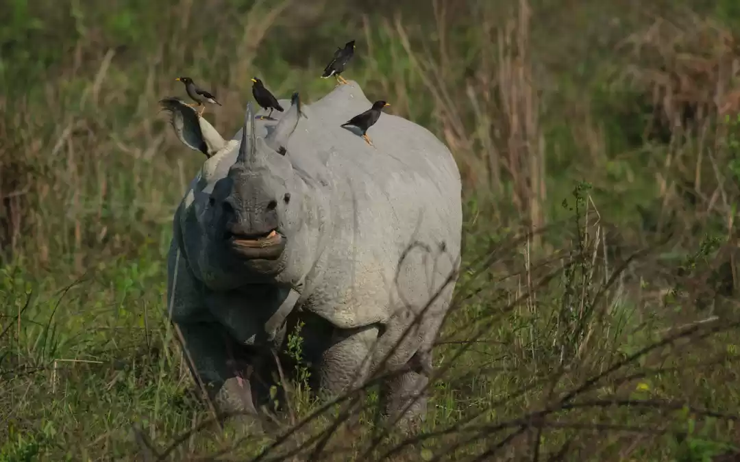 Photo of All You Need To Know