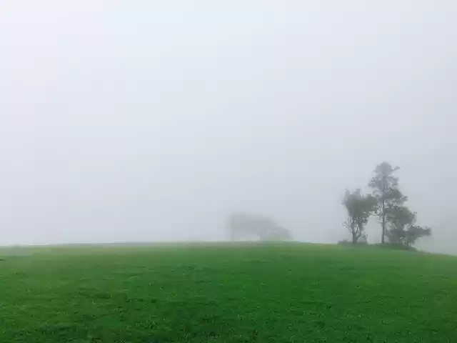 Photo of Monsoon trek to Andh