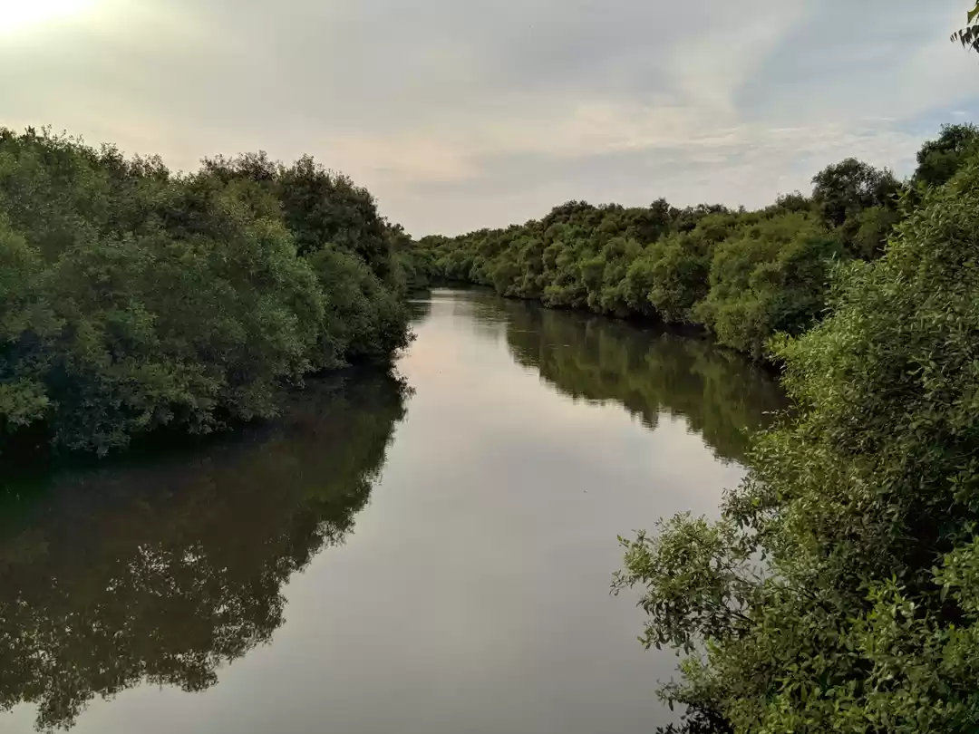 Photo of Less Explored Greene