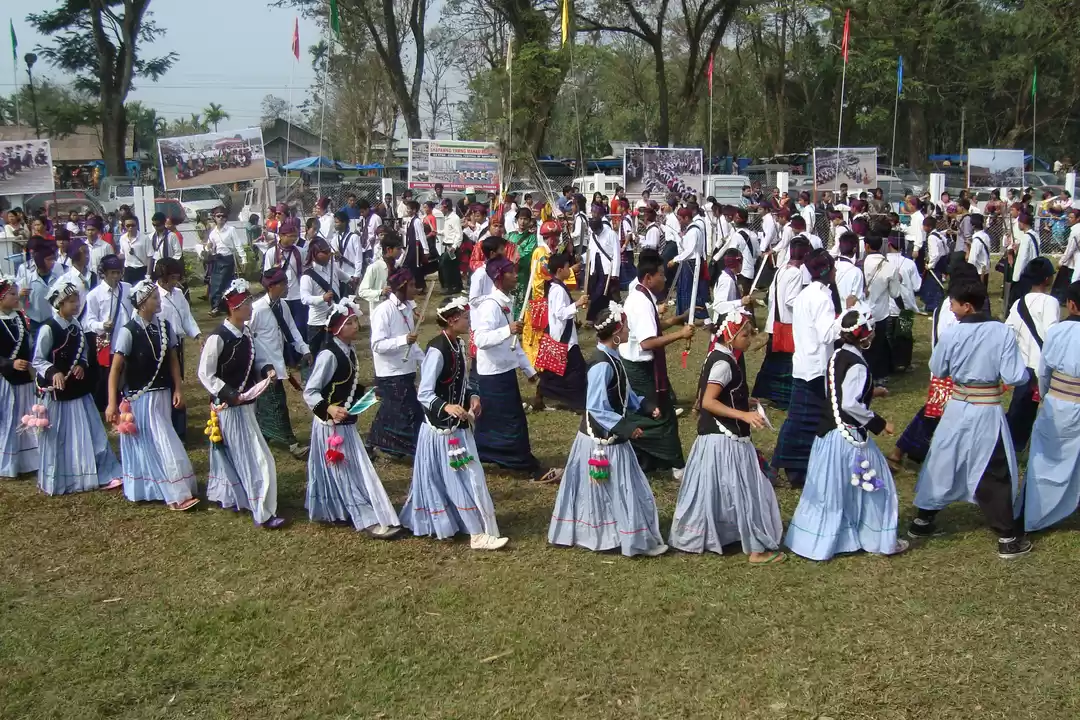 Photo of Amazing Festival In