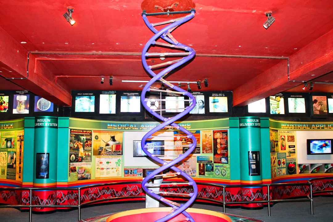 Vishweshwaraiah Museum Bangalore Read About Visvesvaraya Museum