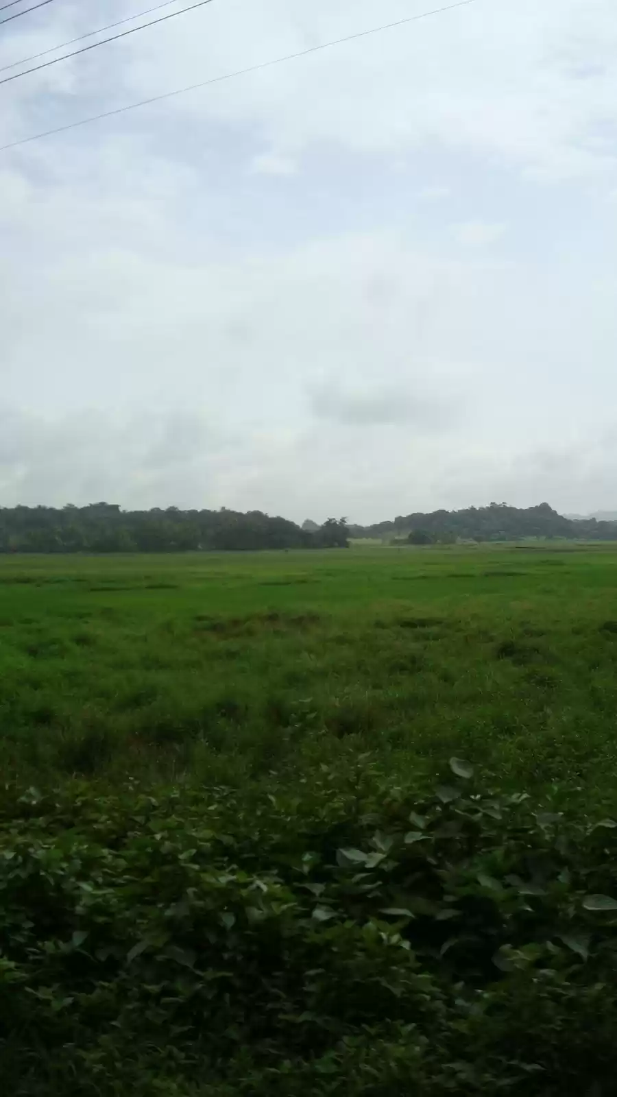 Photo of Goa Unplugged