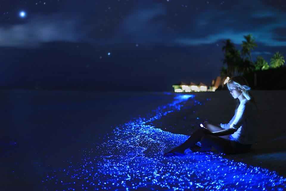 Sea of Stars – Vaadhoo, Maldives - Atlas Obscura