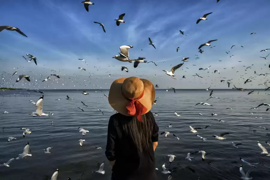 Photo of Dream Job Alert! Her