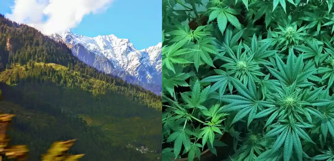 Photo of Himachal Pradesh To 