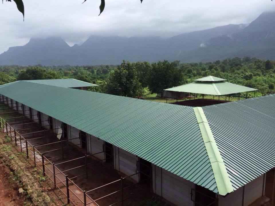 These Farmstays Near Mumbai Will Take You Closer To Nature Tripoto Kesariya farm is an organic farm, committed to international standards of organic dairy farming.