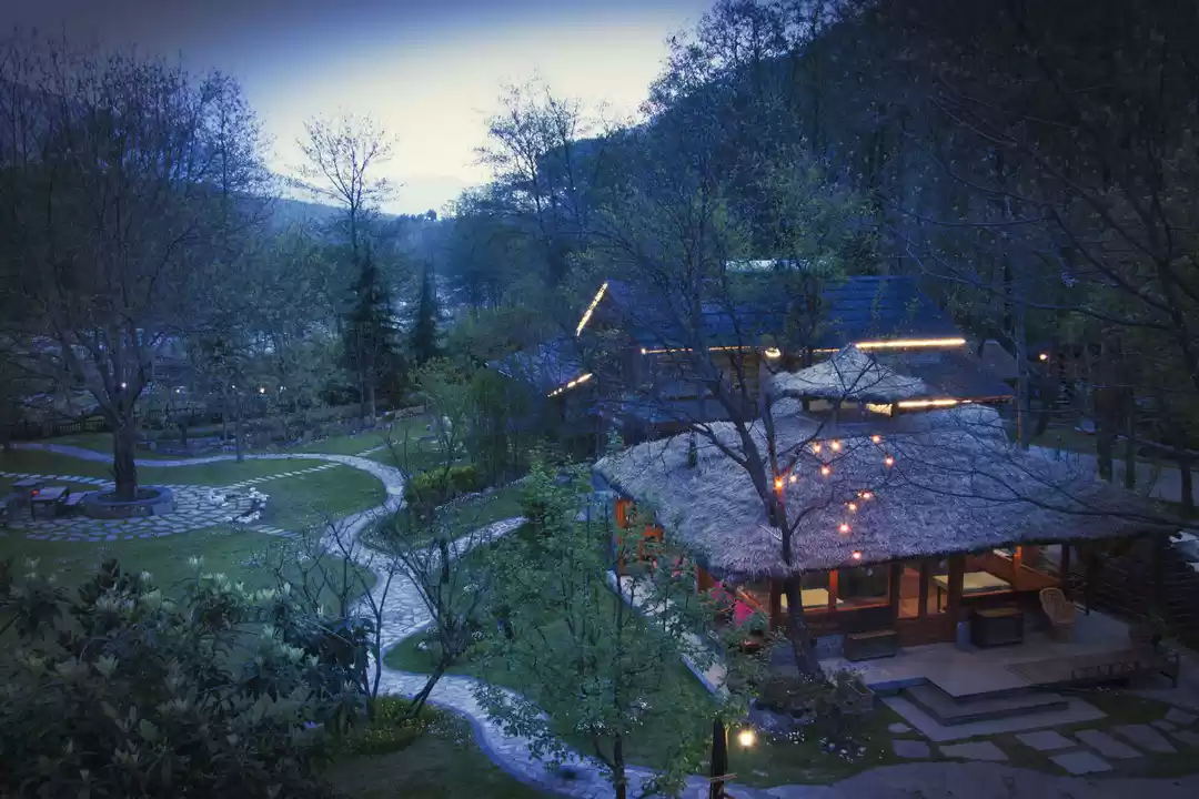 Photo of 8 Exotic Offbeat Hot