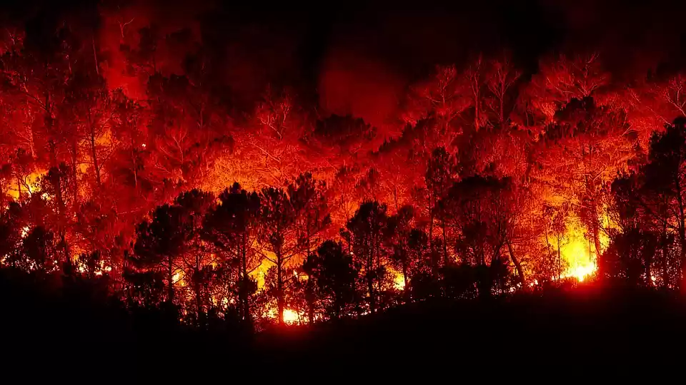 Photo of Massive Fire Engulfs