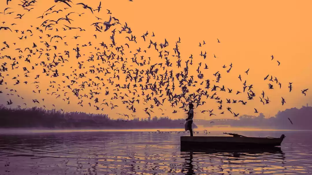 Photo of You Can Soon Travel 