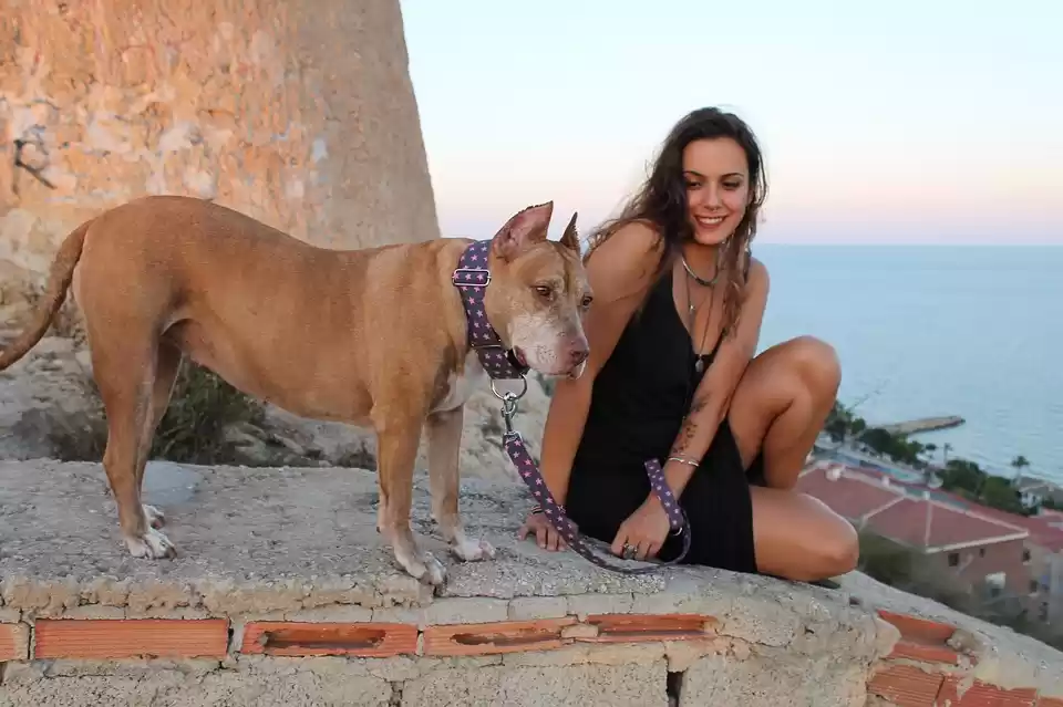 Photo of Dream Job Alert! Her