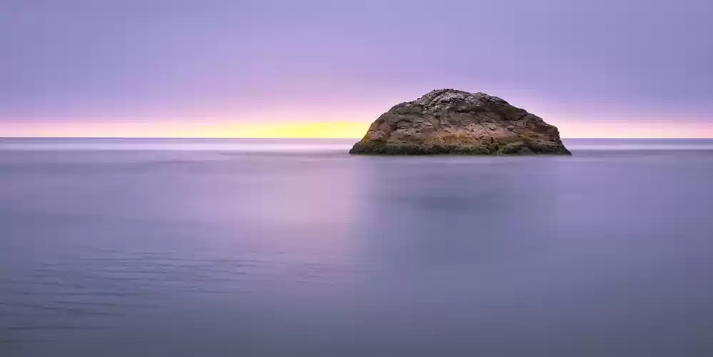 Photo of A New Island Has Bee