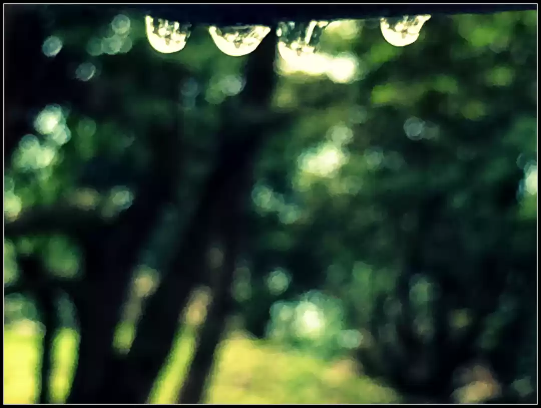 Photo of RUDRANATH : A JOURNE