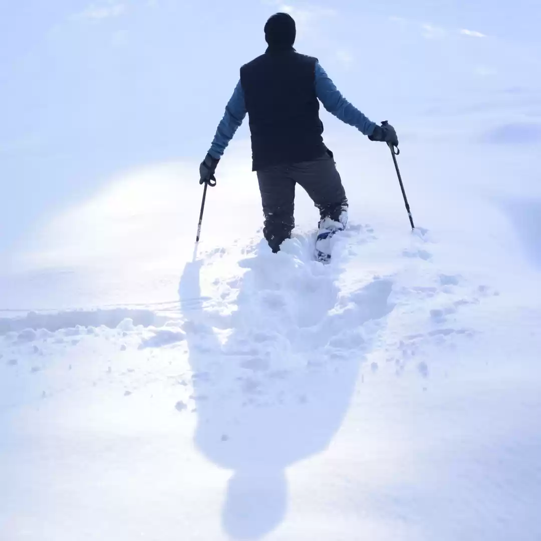 Photo of the wanderer__