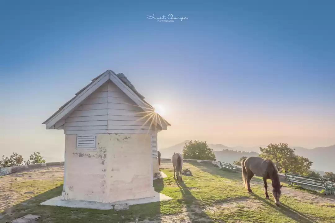 Photo of Narkanda An Ignored 