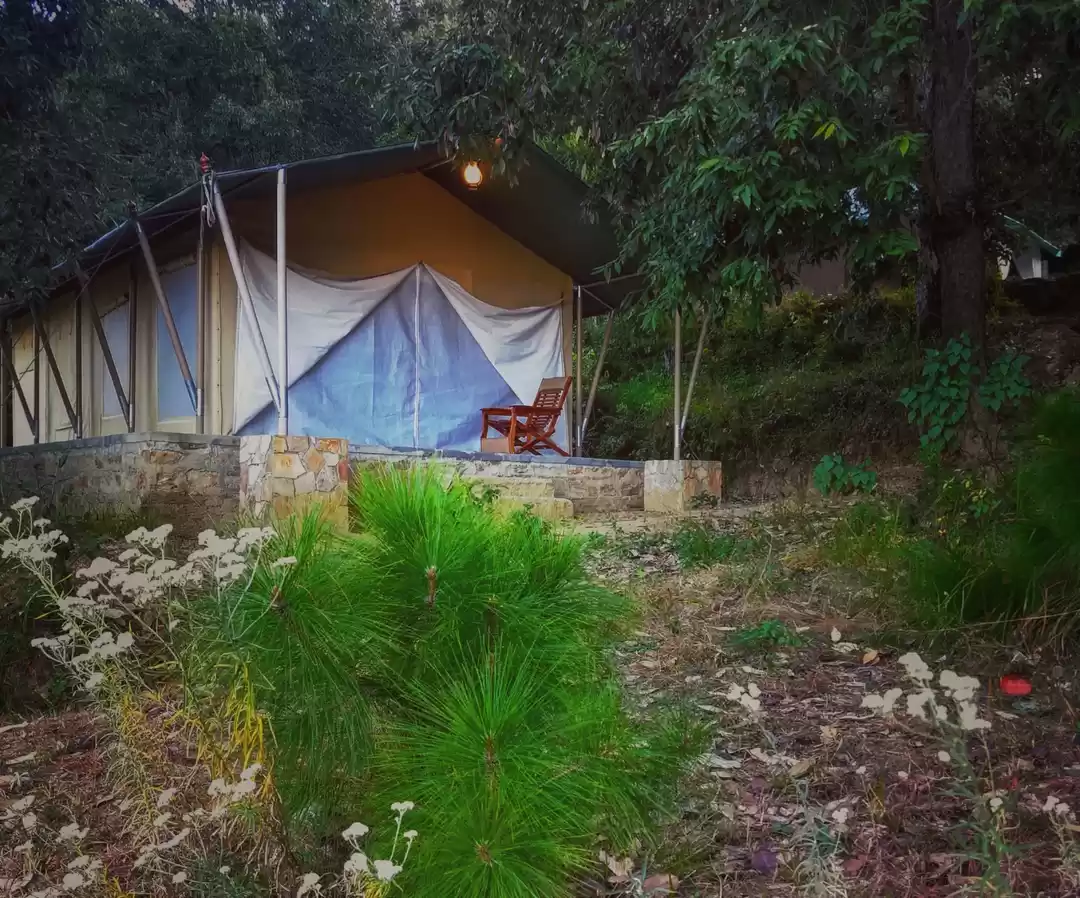 Photo of Nayalap: Rural Himal