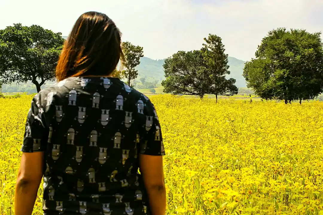 Photo of Araku : Valley Of Co