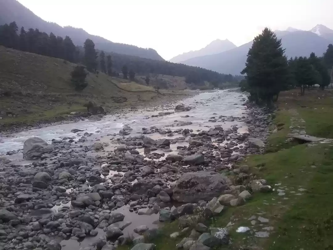 Photo of Disputed paradise on